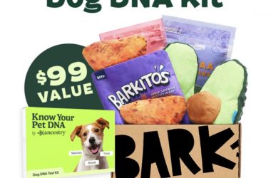 Sign Up for Bark Box and Get a FREE Ancestry Dog DNA Kit!
